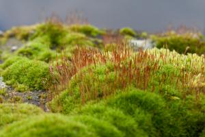 20111015_TAHK_50D_08884.jpg