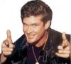 The Hoff