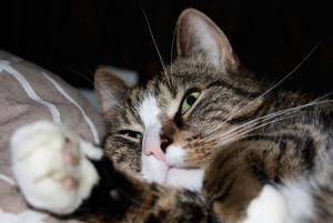 post-147326-1230842677_thumb.jpg