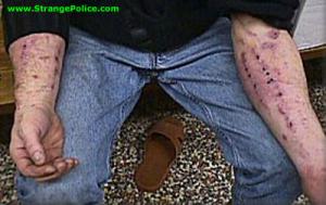 post-167713-1232022202_thumb.jpg