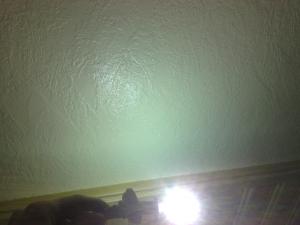 post-19072-1232320235_thumb.jpg