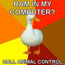 post-106660-1262441035_thumb.jpg