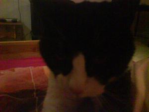 post-132197-1262572219_thumb.jpg
