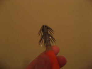 post-167856-1264569572_thumb.jpg