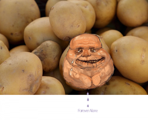 post-69150-0-70480600-1295997574_thumb.png