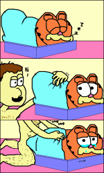 post-91083-0-36239200-1295979204_thumb.gif