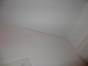post-326652-0-59423400-1388609525_thumb.jpg