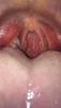 post-226106-16826_thumb.jpeg