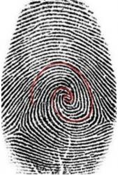 post-416335-0-07274200-1517084371_thumb.jpg