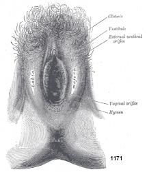 post-120296-1203513674_thumb.jpg