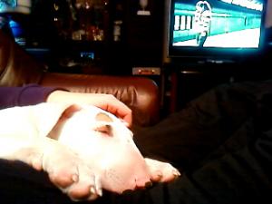 post-94232-1233587132_thumb.jpg