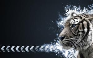 Tiger_widescreen_wallpaper_1920x1200.jpg