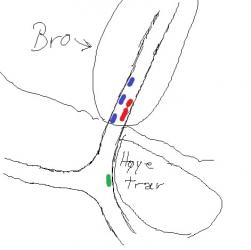 post-134959-1265552933_thumb.jpg