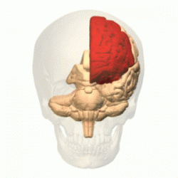 post-162862-0-57118000-1298131491_thumb.gif