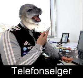 post-106660-0-70340000-1328301633_thumb.jpg