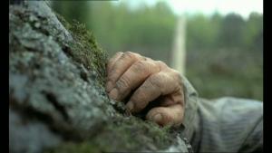 post-93527-0-31814900-1330269211_thumb.jpg