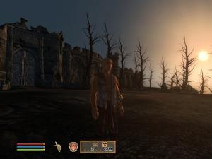 post-143117-1236962073_thumb.jpg