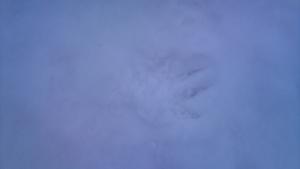 post-116322-1269023464,1703_thumb.jpg