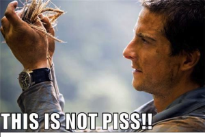 post-126014-0-03802800-1301236965_thumb.png