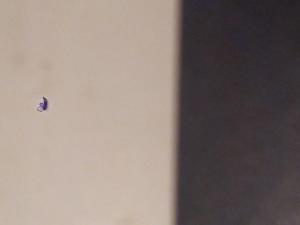 post-140274-0-38665500-1332065848_thumb.jpg