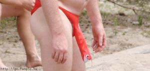 post-12649-1209215249_thumb.jpg