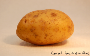 post-149000-1239136834_thumb.png