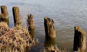 post-31116-1240008529_thumb.jpg
