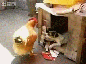 post-202183-1270896011,2781_thumb.gif