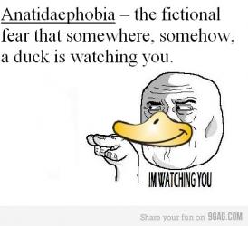 9gag-donald-duck-funny-Favim.com-323720.jpg