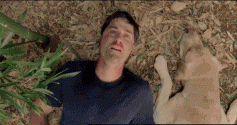 post-15355-1275006491,5826_thumb.gif