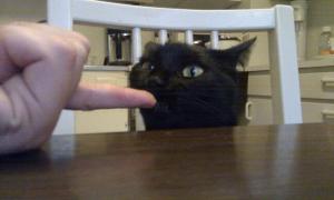 post-22981-0-31111900-1304643239_thumb.jpg