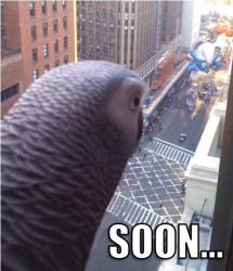 post-91083-0-54577700-1304431441_thumb.jpg
