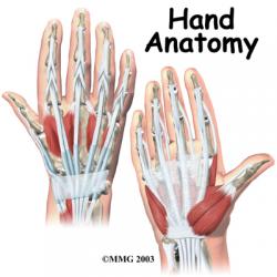 post-51689-1244234970_thumb.jpg