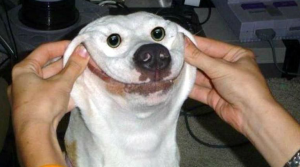post-209260-0-04990200-1339776325_thumb.png