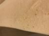 post-271514-0-56914600-1529007173_thumb.jpeg