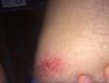 post-253061-709028_thumb.jpg