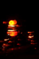 IMG_6408.jpg