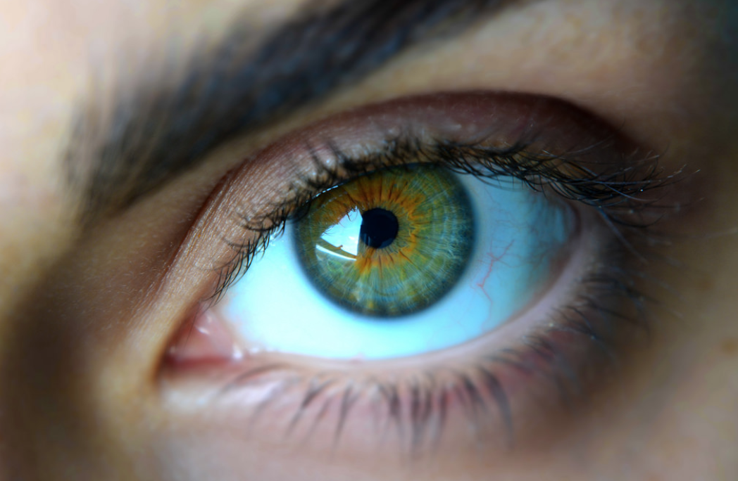 Зелено голубо желтые глаза. Болотный цвет глаз гетерохромия. Хейзел цвет глаз. Зелёно-голубые глаза. Красивые глаза.