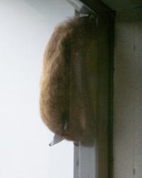 post-126935-0-38979400-1317243199_thumb.jpg