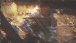post-148086-0-79826600-1315605613_thumb.gif