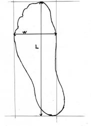 post-128368-0-01036400-1348477451_thumb.jpeg