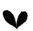 post-115344-1193602154_thumb.jpeg