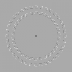 post-122307-1192382494_thumb.png