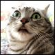 post-51867-1193001151_thumb.jpg