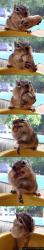post-82028-1223656998_thumb.jpg
