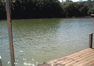 post-131707-1287656023,4991_thumb.gif