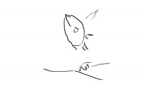 post-72334-1286650761,6732_thumb.jpg