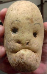 post-91083-1288205473,9782_thumb.png