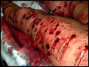 post-160065-0-55760900-1318086846_thumb.jpg