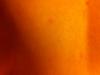post-315427-1470_thumb.jpg